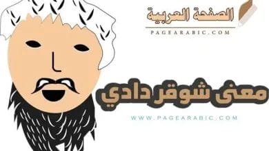 معنى كلمة شوقر دادي لكل بنت تحب ذلك ايش معناها