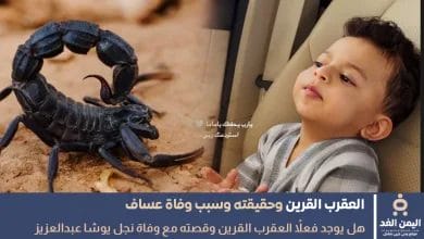 نفي وجود العقرب القرين بعد حادثة وفاة عساف ولد يوشا عبدالعزيز 2 نفي وجود العقرب القرين بعد حادثة وفاة عساف ولد يوشا عبدالعزيز