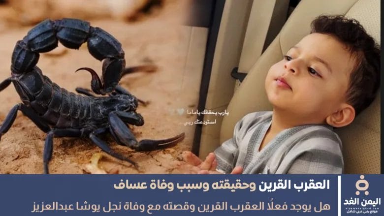 نفي وجود العقرب القرين بعد حادثة وفاة عساف ولد يوشا عبدالعزيز 1 نفي وجود العقرب القرين بعد حادثة وفاة عساف ولد يوشا عبدالعزيز