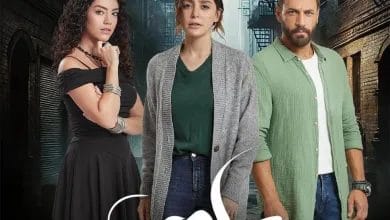 ملخص مسلسل سلمى الحلقة 33 حين تتكلم الصمت وتفضح العيون 2 مسلسل سلمى الحلقة 33
