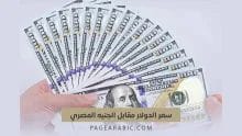 سعر الدولار اليوم في مصر