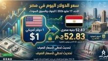 سعر الدولار اليوم في مصر يقفز إلى 53 جنيهاً